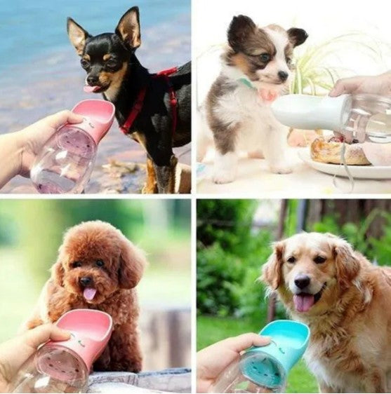 Portable Pet Drinking Fountain