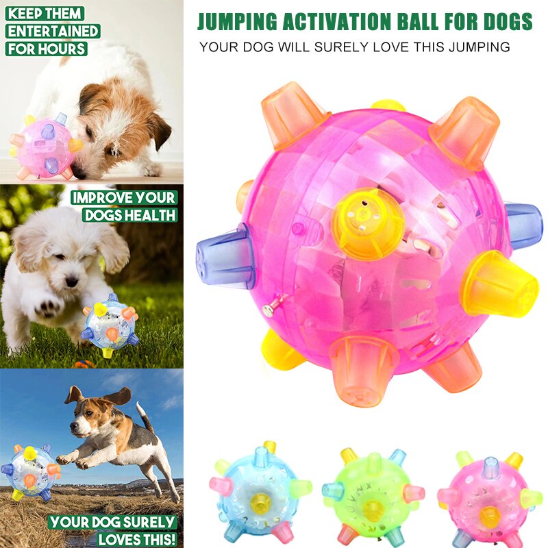 Jumping Activation Ball for Kids and Pets fun