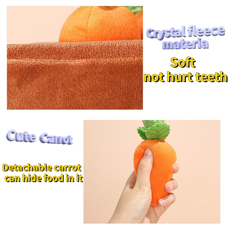 Pet Vegetable Chew Toy