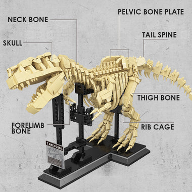 T-rex Dinosaurs Fossil Building Blocks